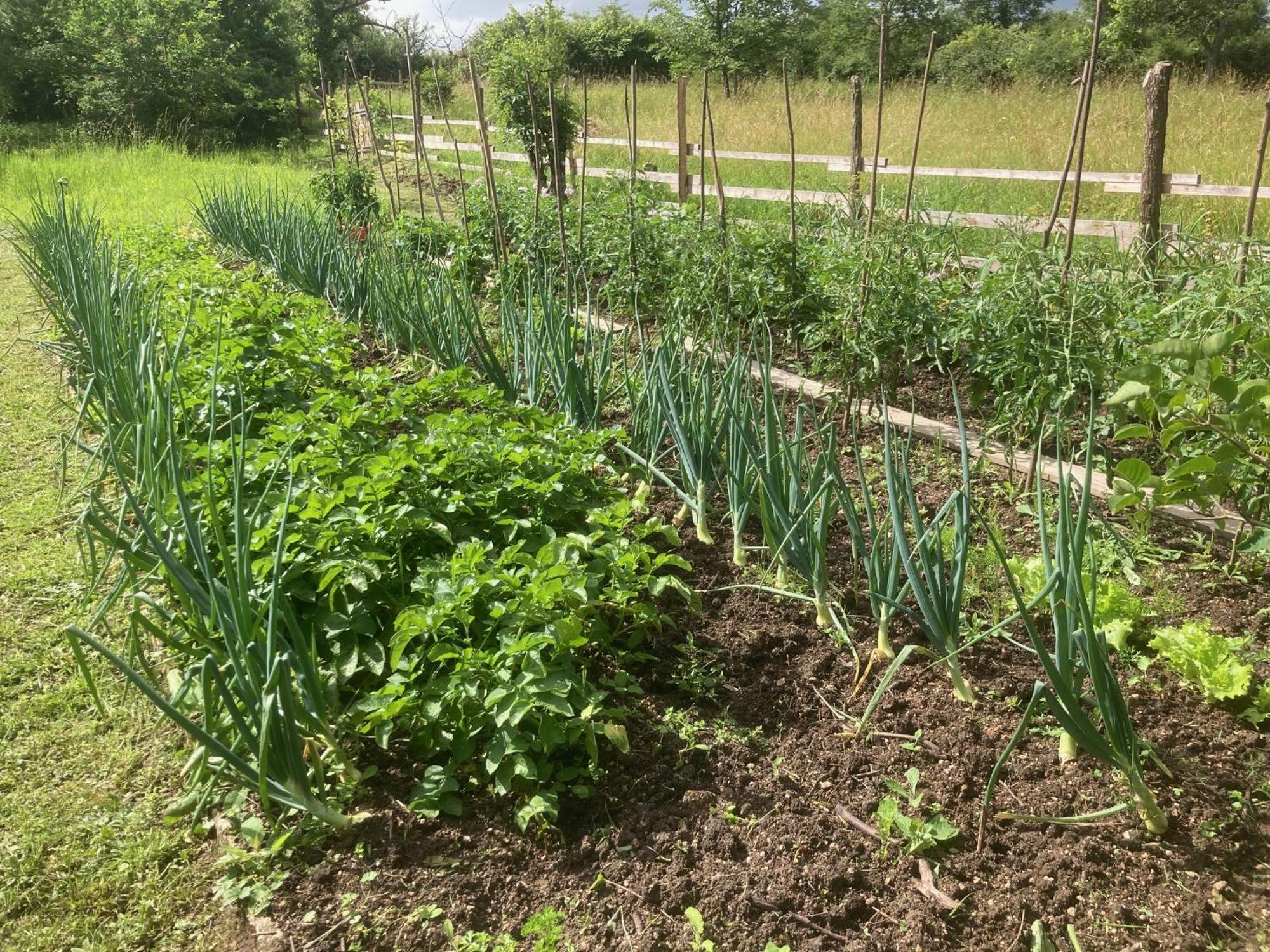 Le Jardin Secret * Semur-en-Auxois